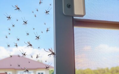 BLOG Arriva l’estate: come scegliere la zanzariera giusta per la tua casa